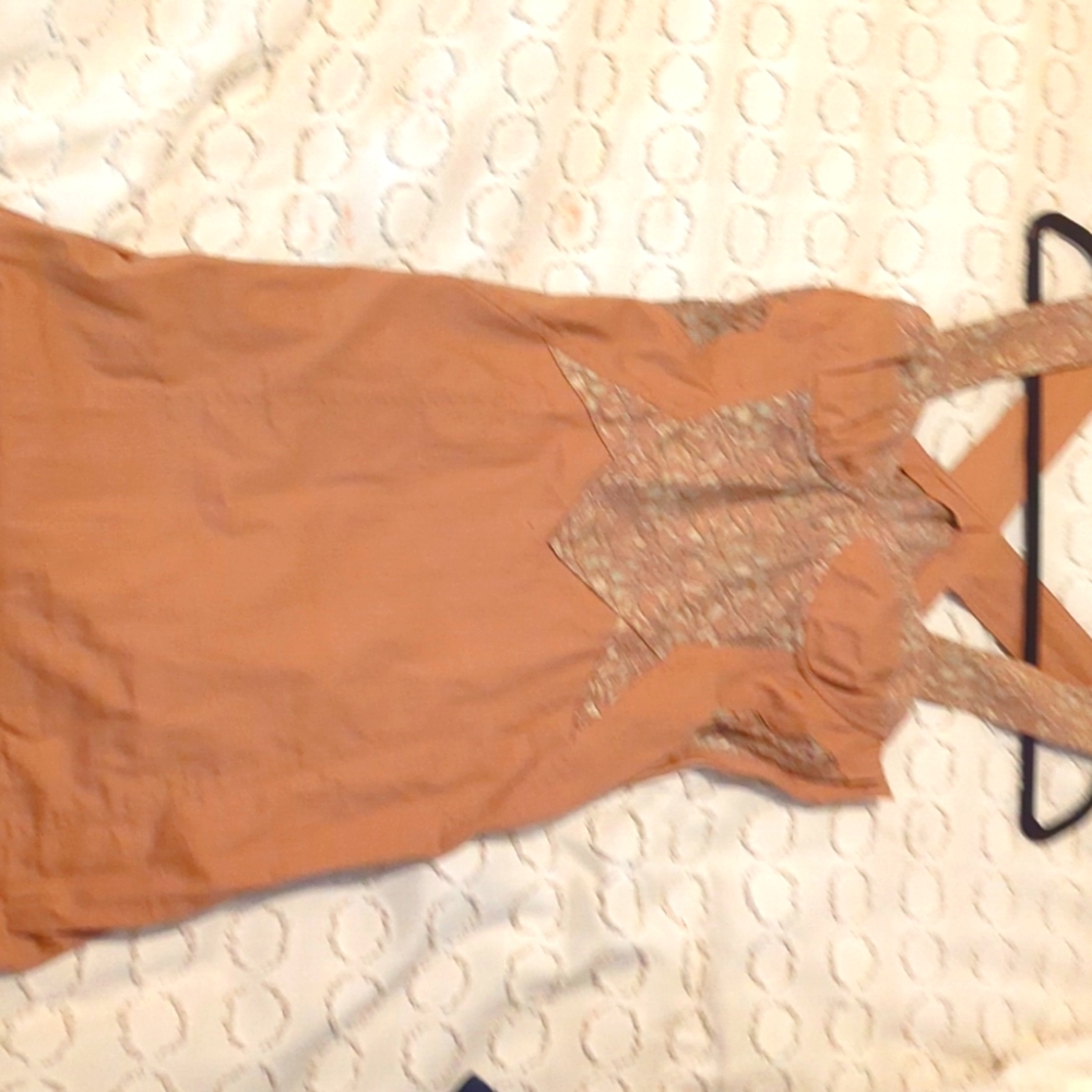 H & M Blush colored Dress with Lace inserts